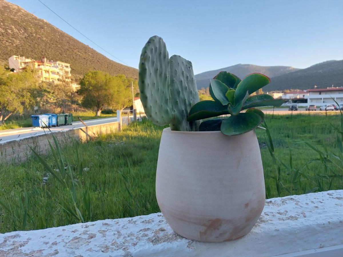 Vitamin Sea Apartment 4, Άνετο Διαμέρισμα. Almiropótamos Extérieur photo